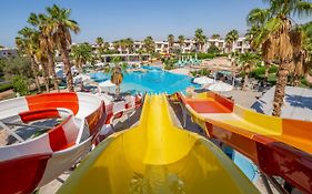 Amphoras Aqua Adults Friendly