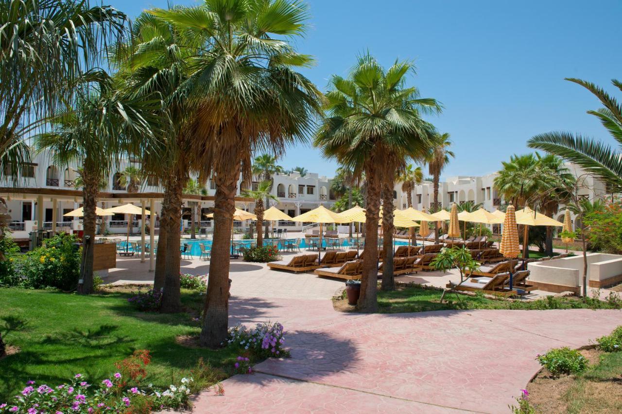 Amphoras Aqua Sharm el Sheikh Esterno foto