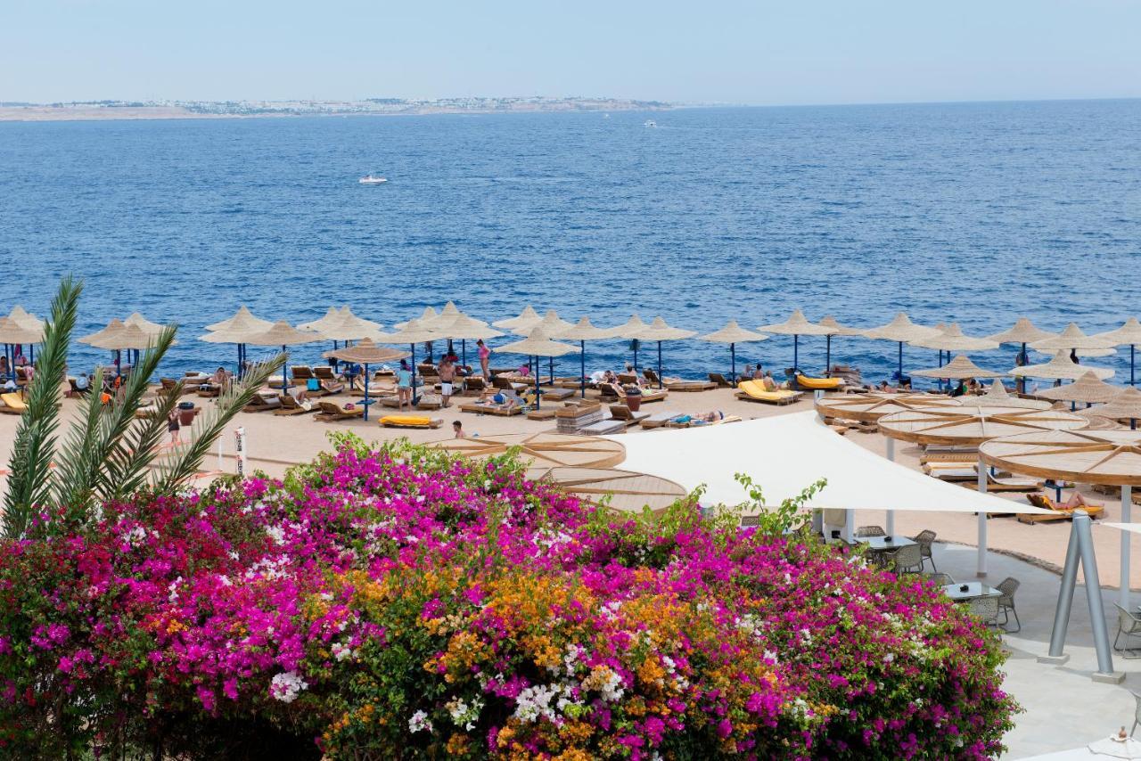 Amphoras Aqua Sharm el Sheikh Esterno foto